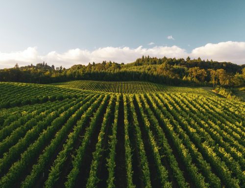 Success story template