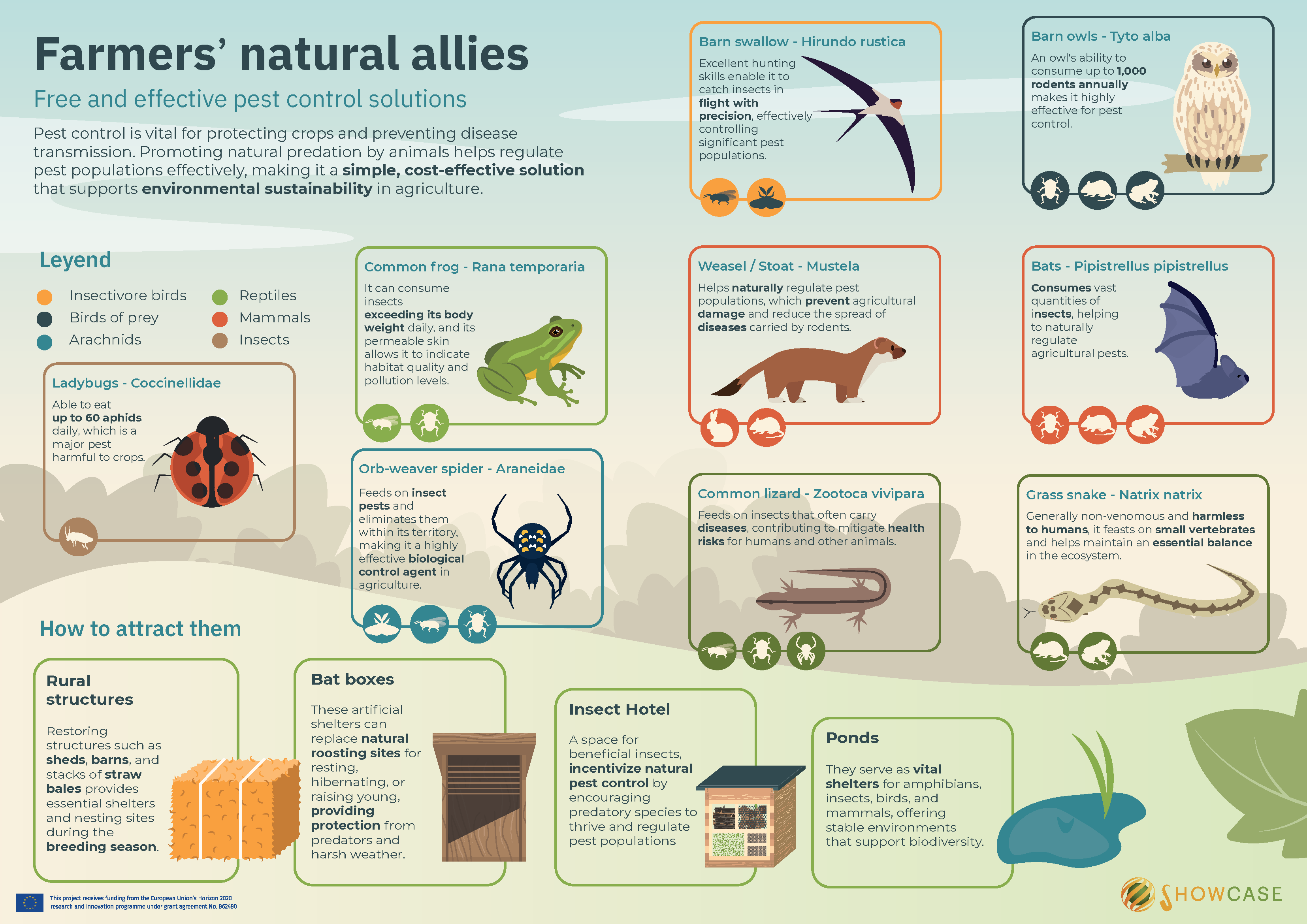 Showcase_Farmers_natural_allies_Infografia