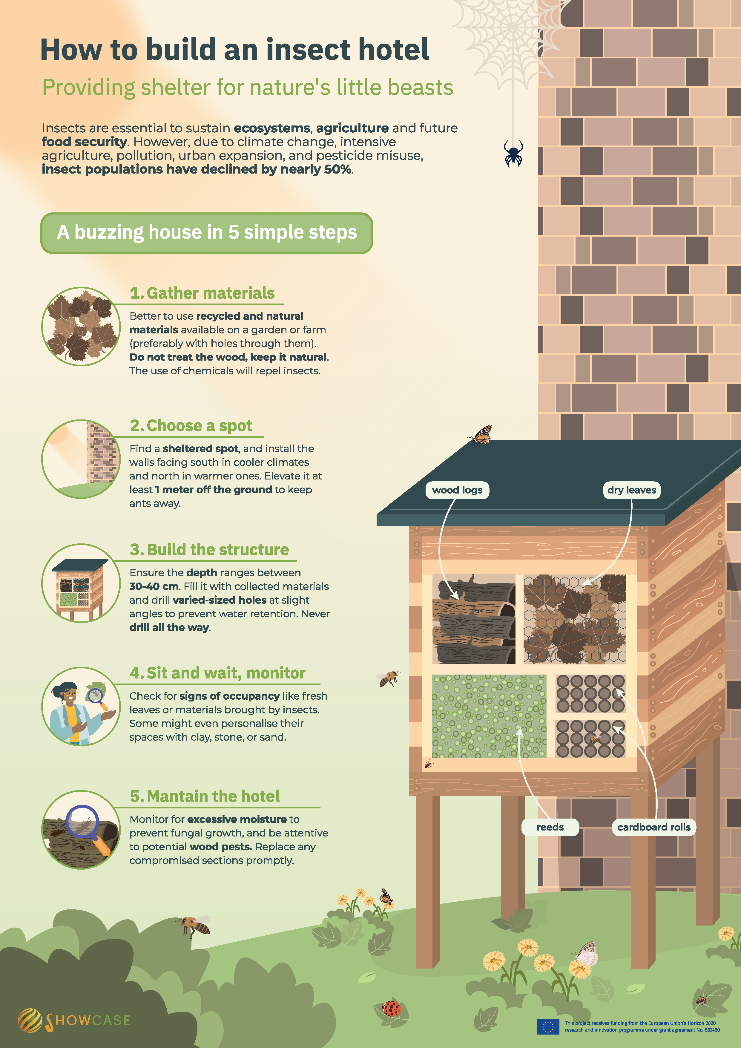 Showcase_How_to_build_an_insect_hotel_Factsheet